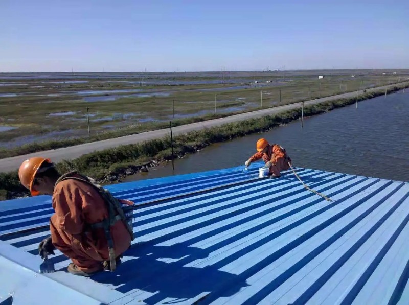 睢阳彩钢瓦屋面防腐翻新